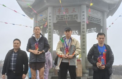 宁波杨山村旅游节启航 生态红茶绽放光彩